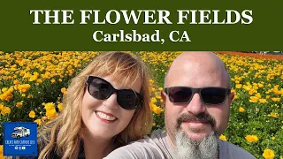 THE FLOWER FIELDS - Carlsbad, California