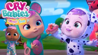 Cute Baby Alert! Full Episodes of CRY BABIES 💧 Magic Tears 🌈 Cartoons for KIDS