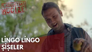 Lingo Lingo Şişeler | 7. Koğuştaki Mucize