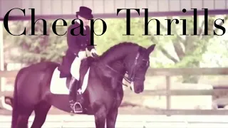 Cheap Thrills || Dressage Music Video ||