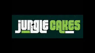 The Jungle Cakes Years 2009 -12 mixed by [NSF] DJ Sickhead #dnb #drumandbass #drumnbass #mix #jungle