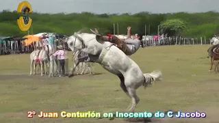 Ganadores fiesta del Ternero Entrerriano 2022 #Cowvoy #Rodeio # Campero #Horses, Riding