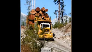 Before the house gets built (4) Loaded Off-Highway Logging trucks.