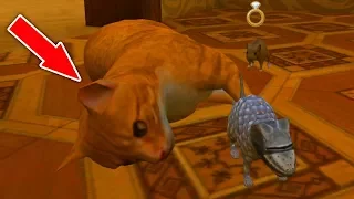 СИМУЛЯТОР МЫШИ - ОХОТИМСЯ на КОТА в Mouse Simulator