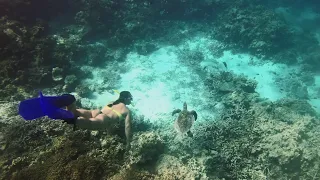 Embudu Village - Diving and Snorkeling