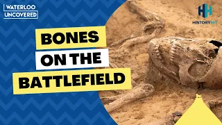 Bones on the Battlefield