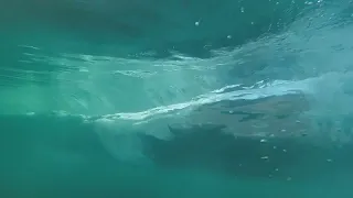 Underwater Waves in Slow Motion