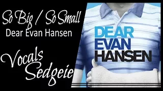 【SEDGEIE】»So Big/So Small•Dear Evan Hansen•[English Cover]«