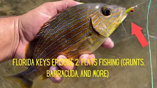 Florida Keys Episode 2: Wading in the Flats Fly Fishing!!! (Barracuda, Grunt, and more)