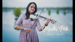 Madhu Pole  | Kadalalle | Dear Comrade | Roopa Revathi Ft. Sumesh Anand | Instrumental Cover