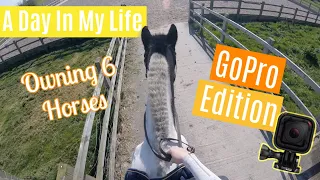 A Day In My Life, CARING FOR 6 HORSES | GoPro Edition | Day 4 of Lock down | Barn Vlog