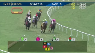 Gulfstream Park Race 5 | August 14, 2016