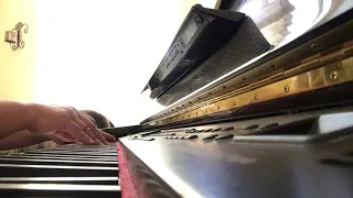 Solo piano cover of Foxes and Fossils arrangement of "When You Say Nothing At All."