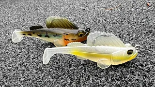 Exposing the TRUTH about this SWIMBAIT!