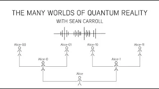 The many worlds of quantum reality with Sean Carroll