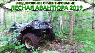 ТРОФИ ОРИЕНТИРОВАНИЕ ЛЕСНАЯ АВАНТЮРА 2019