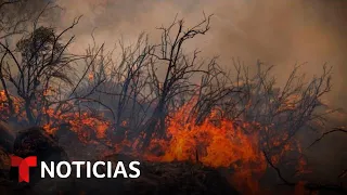 Las noticias de la mañana, miércoles 1 de noviembre de 2023 | Noticias Telemundo