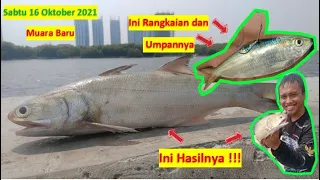 Begini Rangkaian dan Umpan Mancing Ikan Kuro Di Dam Ijo Muara Baru!! Langsung Uji Coba