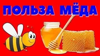 Полезные свойства меда / Польза меда для здоровья человека  / Чем полезен пчелиный мёд