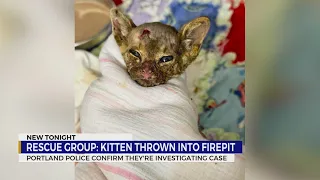 Kitten dies after being thrown into firepit; Portland police investigating