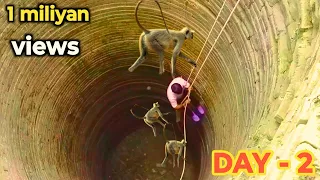 भगवान करे जल्दी निकल जाऐ 🙏😍 monkey rescue 🛟   // animal rescue // Durga r m digital