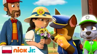 Psi Patrol | Szczeniaki ratują wesele! | Nick Jr.