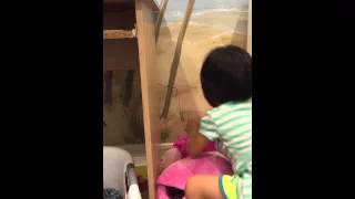 Funny Cute Toddler Hides Evidence