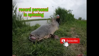 Pescuit la SOMN -Record Personal la Spinning 2,14m