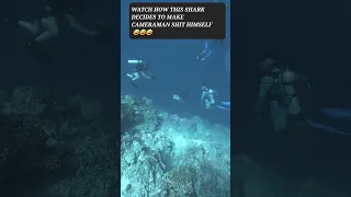 Shark pranks Cameraman 😄😅