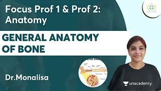 General Anatomy Of Bone | Focus Prof 1 & Prof 2:Anatomy |Unacademy Future Doctors l Dr.Monalisa