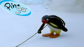 Exploring the Outdoors with Pingu 🐧 | Pingu - Official Channel | Cartoons For Kids