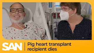 World’s second pig heart transplant recipient dies 6 weeks after surgery