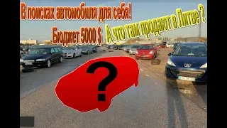 Ищу себе купить авто до 5000 $ Под Ключ! Поиск машины на литовских сайтах, что выбрать?