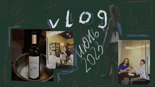 vlog | июнь 2023🦋алые паруса/ работа на Wildberries/ алкогольное мороженое/ мои мысли 🤍