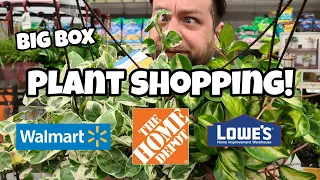 NEW HANGING BASKETS!! 🌿 Home Depot, Lowe's & Walmart Plant Shopping in Littleton, NH with David!! 💙