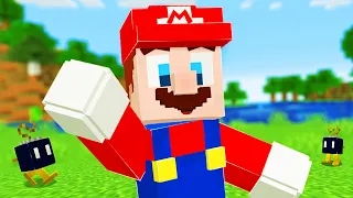 I remade every Mob into Mario Characters﻿ in Minecraft