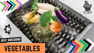 Mixed Vegetable vs Fast Shredder Machine | Top 10 videos compilation