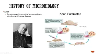 Chapter 1 OpenStax Microbiology