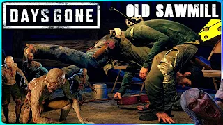 Is this cheating?? Days Gone. Easily smoke the Saw Mill Horde