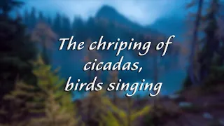 1 stundu skaņas cikādu dzirkste, putnu dziedāšana - atpūsties dabas skaņās