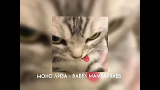 Моно Лиза - Бабек Мамедрзаев speed up