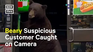 Bear Invades California 7-Eleven