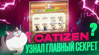 CATIZEN - САМАЯ БЫСТРАЯ ПРОКАЧКА! 5 ЛАЙФХАКОВ! ОБЗОР ИГРЫ! КОГДА ДРОП?