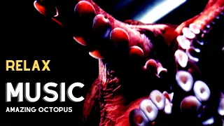 🟣 Amazing Octopus Transformation with [Relaxing Music]