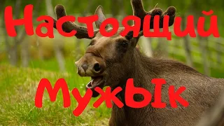 Не становитесь Настоящими Мужчинами