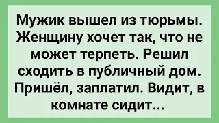 Мужик из Тюрьмы Пошел в Публичный Дом! Сборник Свежих Смешных Жизненных Анекдотов!