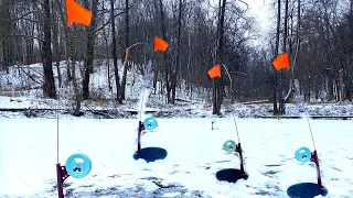 Нашёл НАНО-ОЗЕРО в лесу! Откуда в этой ЛУЖЕ щука???