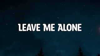 Logan Michael - Leave Me Alone  ( Music Video Lyrics )