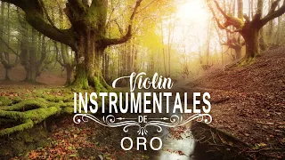 Violines de Oro - Música Instrumental Orquestada - Grandes Exitos Instrumentales de Oro