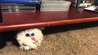 Stop motion animation "Dust Bunny Vs. The Vacuum"